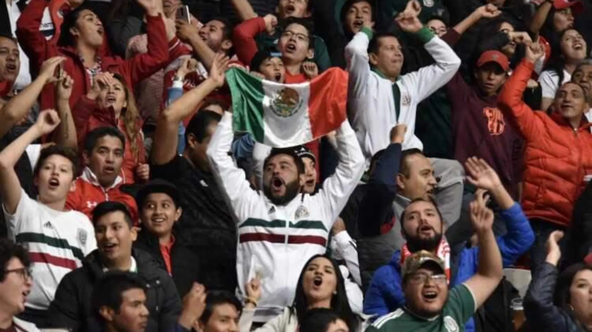 Aficionados Seleccion Mexicana futbol 